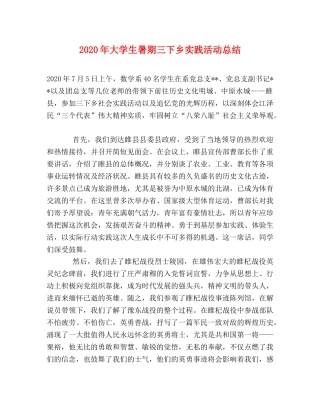 2020年大学生暑期三下乡实践活动总结 