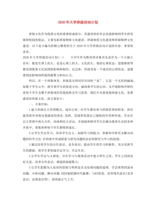 2020年大学班级活动计划 