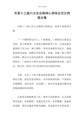 市委十三届六次全会精神心得体会范文两篇合集