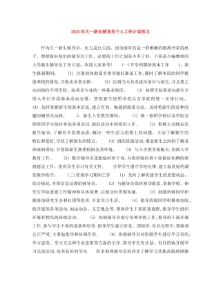 2020年大一新生辅导员个人工作计划范文 