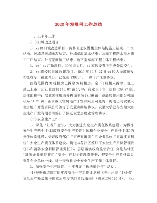 2020年发展科工作总结 