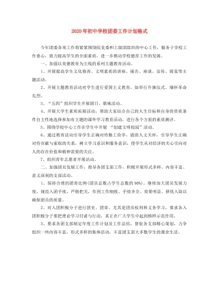 2020年初校团委工作计划格式 