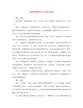 2020年初中生11月学习计划 
