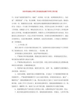2020年出纳上半年工作总结及出纳下半年工作计划 