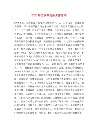 2020年公安派出所工作总结 