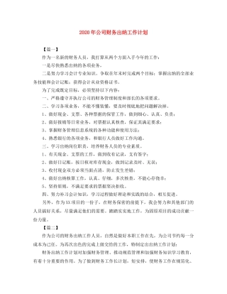 2020年公司财务出纳工作计划 