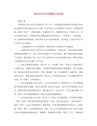 2020年公共卫生服务工作计划 