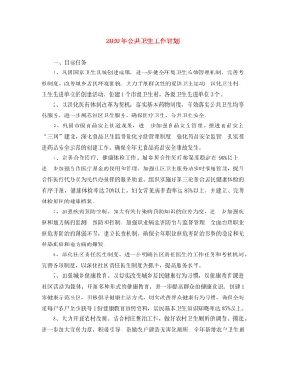 2020年公共卫生工作计划 