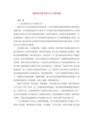 2020年公共卫生个人工作计划 