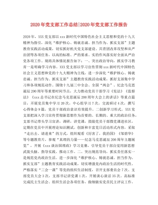 2020年党支部工作总结-2020年党支部工作报告 
