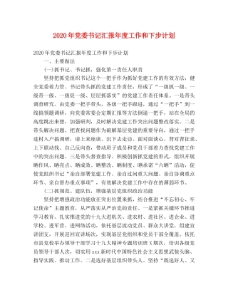 2020年党委书记汇报年度工作和下步计划 