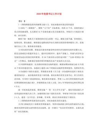 2020年党委书记工作计划 