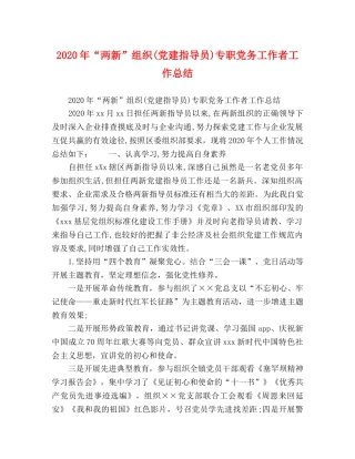 2020年“两新”组织(党建指导员)专职党务工作者工作总结 