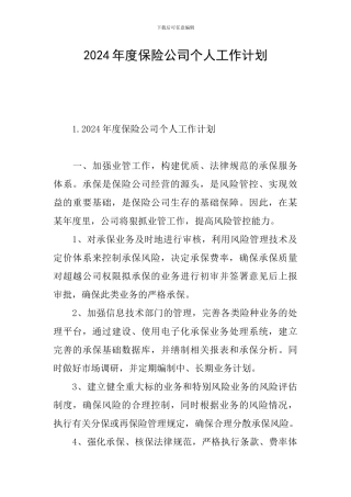 2024年度保险公司个人工作计划