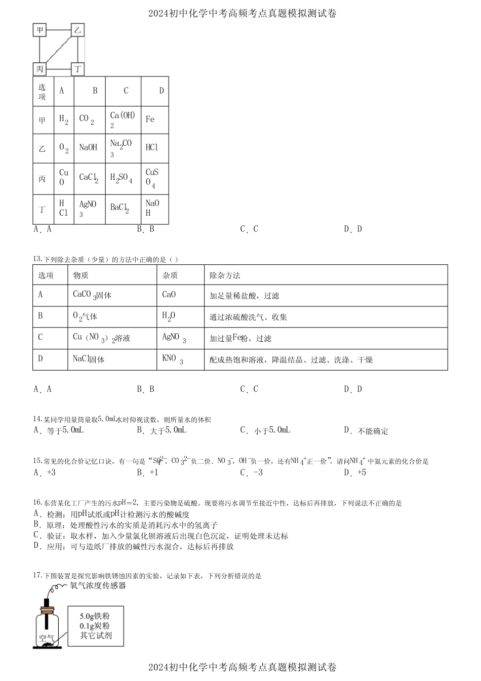 2024初中化学中考高频考点真题模拟测试卷 (3702) _第3页