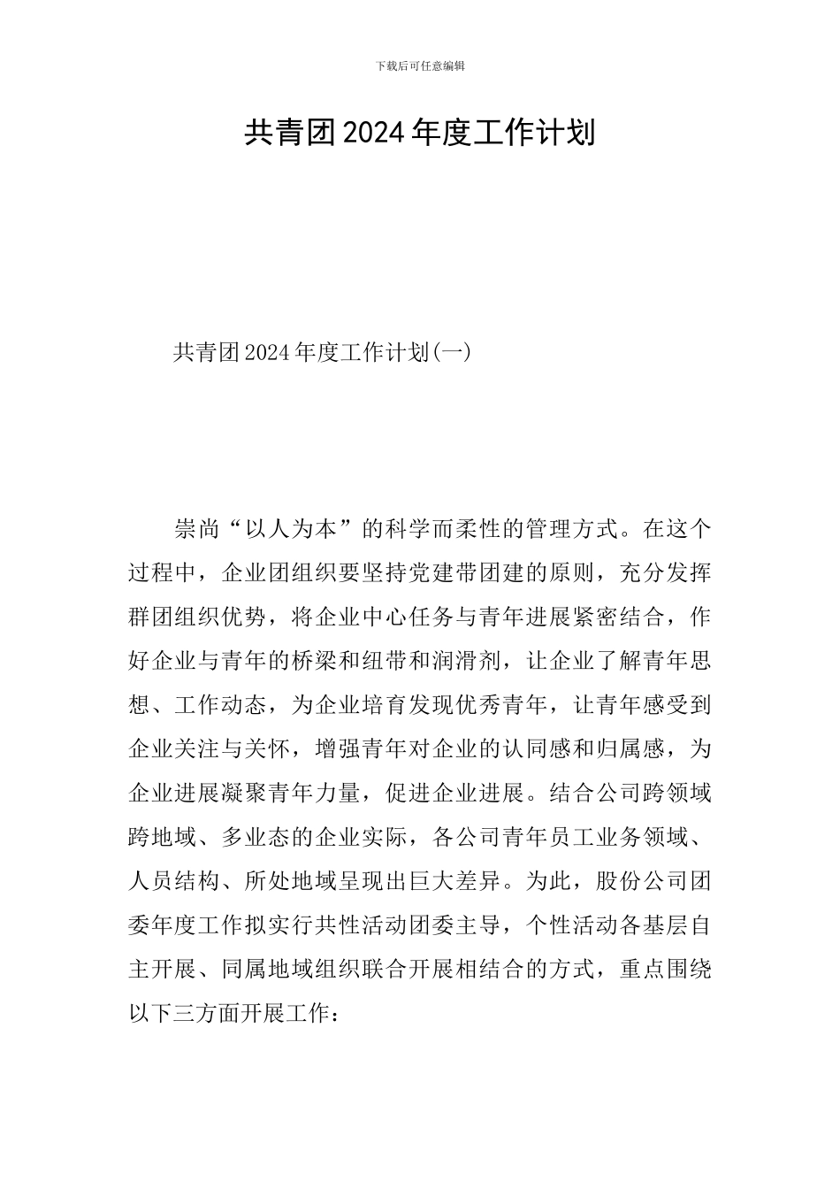 共青团2024年度工作计划_第1页