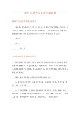 2023年电力安全责任承诺书 