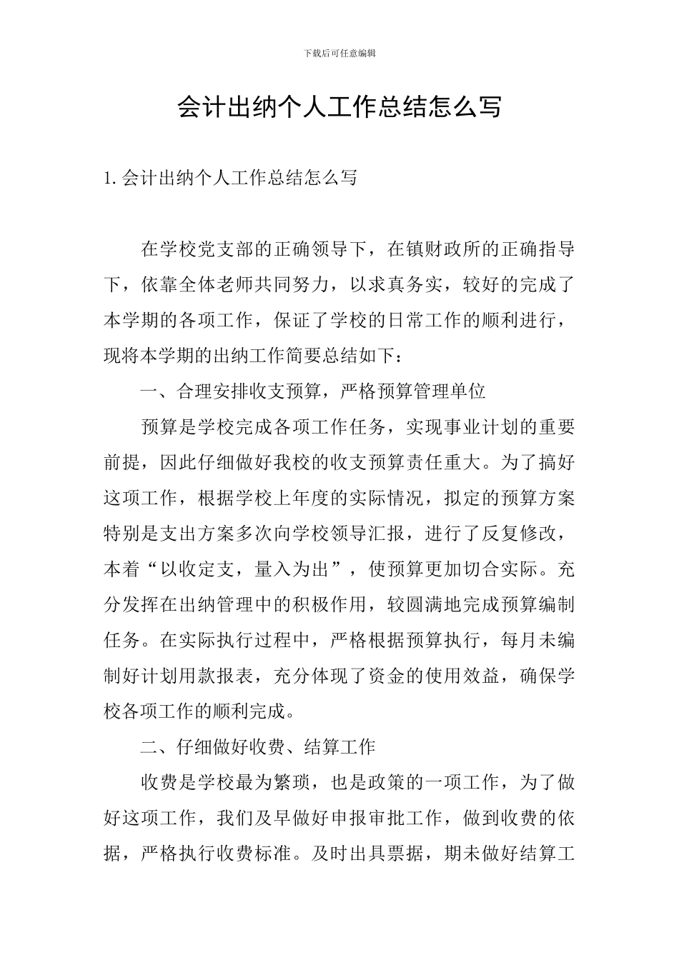 会计出纳个人工作总结怎么写_第1页