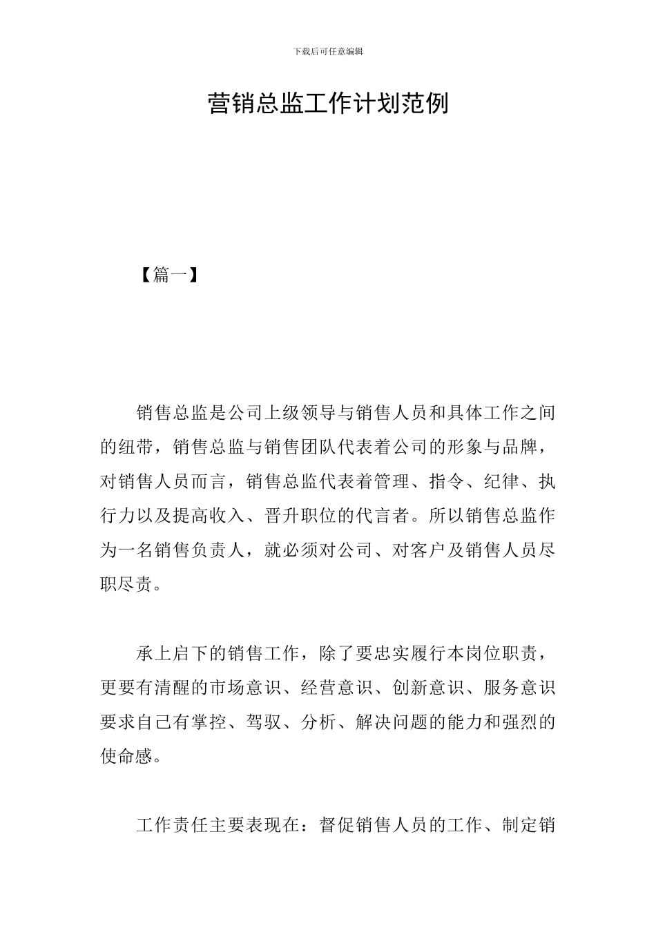 营销总监工作计划范例_第1页