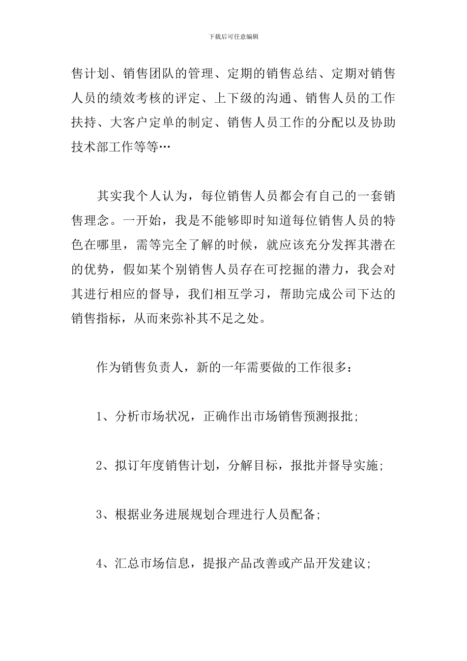 营销总监工作计划范例_第2页