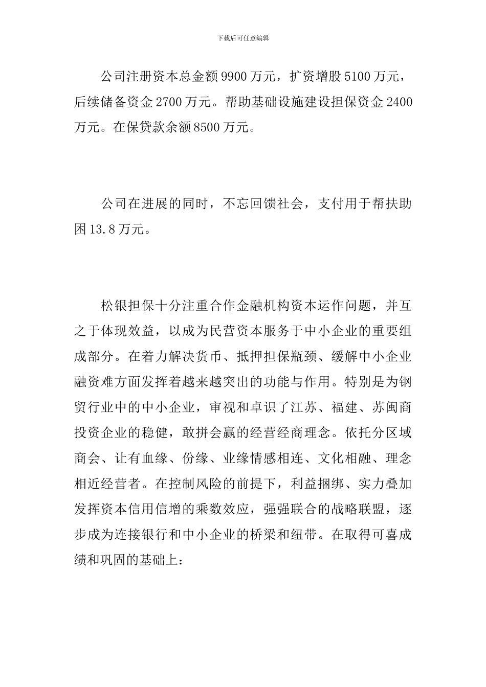 担保公司个人年终工作总结范文_第2页