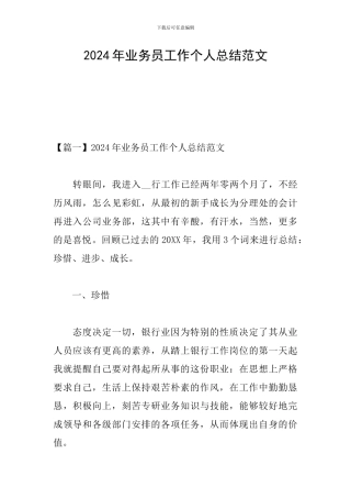2024年业务员工作个人总结范文