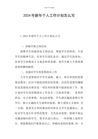 2024年新年个人工作计划怎么写