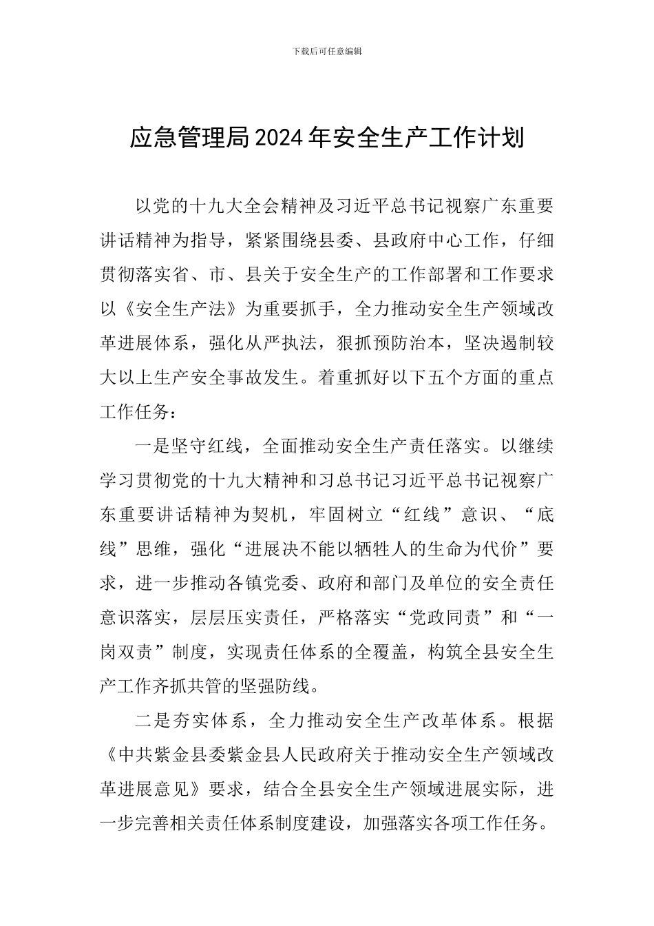 应急管理局2024年安全生产工作计划_第1页