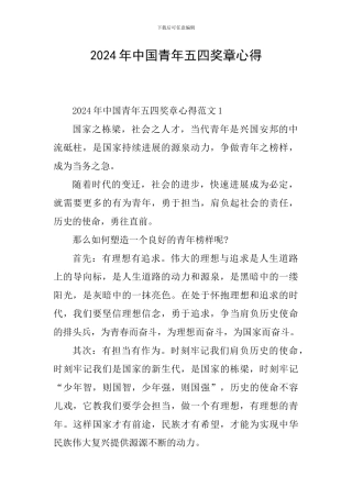 2024年中国青年五四奖章心得