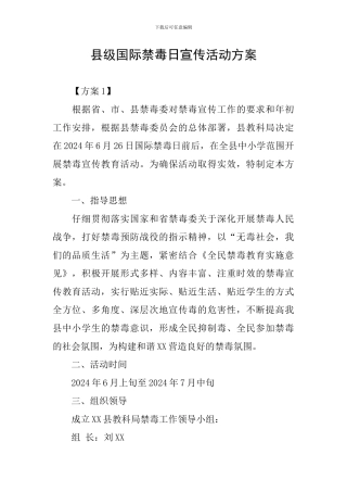 县级国际禁毒日宣传活动方案