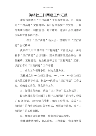 供销社三打两建工作汇报