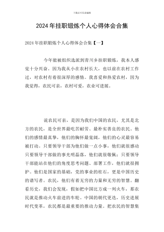 2024年挂职锻炼个人心得体会合集