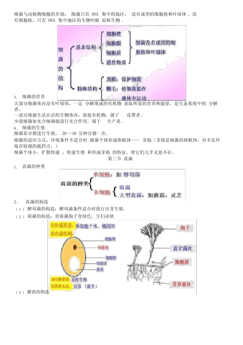 人教版生物八年级上册第四章《细菌和真菌》知识点 _第2页