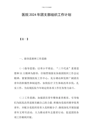 医院2024年团支部组织工作计划