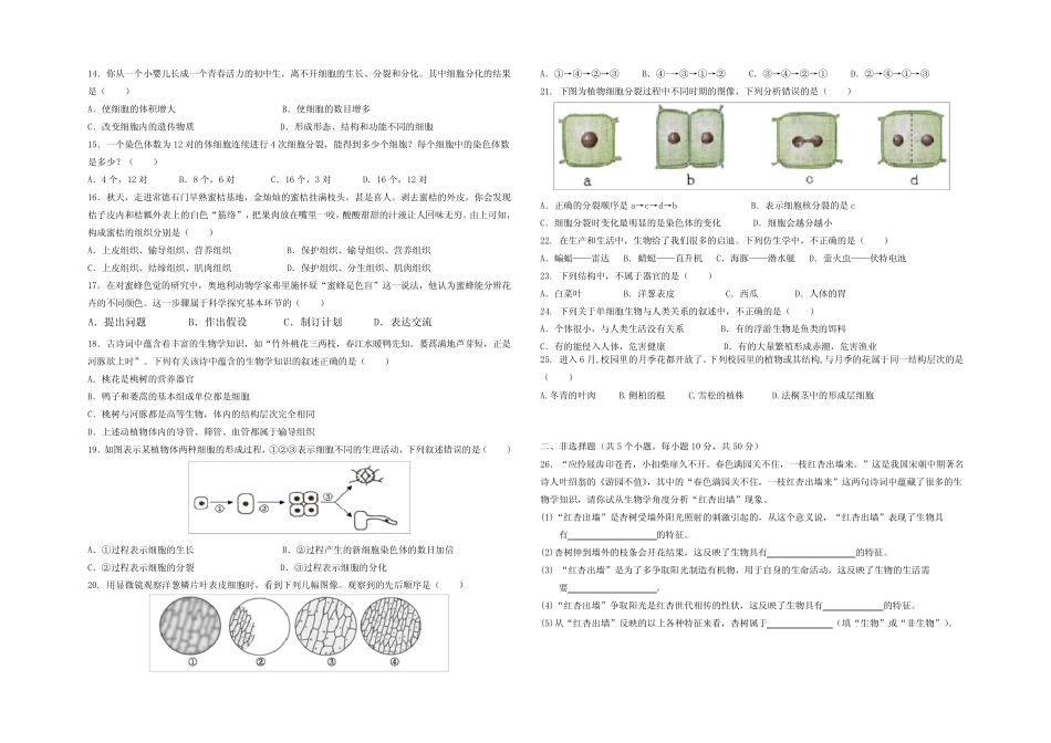2023学年七年级上学期期中考试生物试卷(含答案) _第2页