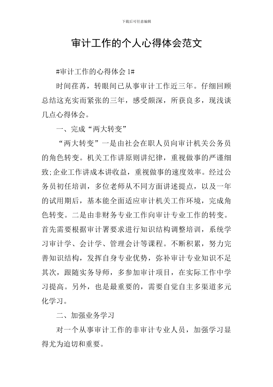 审计工作的个人心得体会范文_第1页