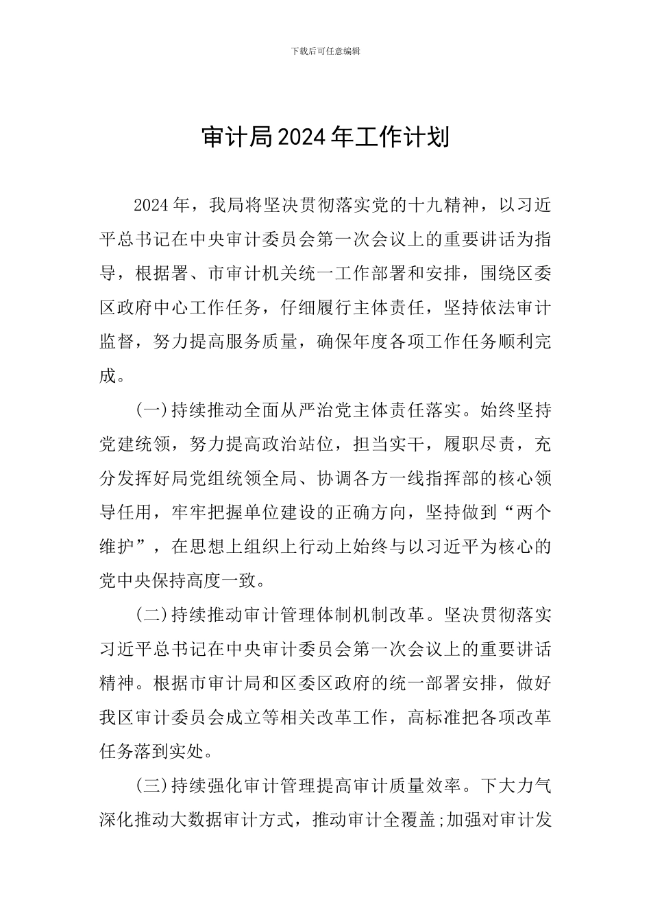 审计局2024年工作计划_第1页