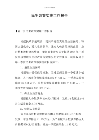 民生政策实施工作报告