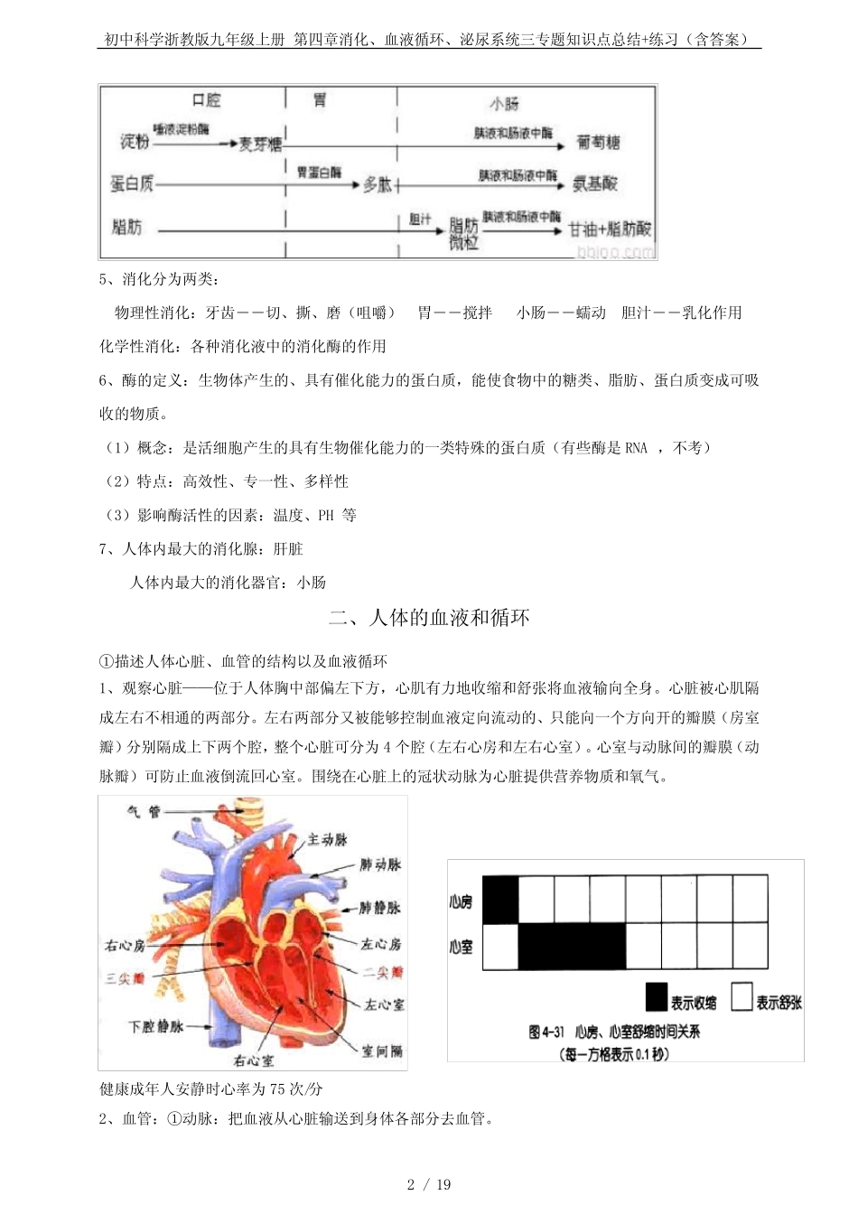 初中科学浙教版九年级上册 第四章消化、血液循环、泌尿系统三专题知识_第2页