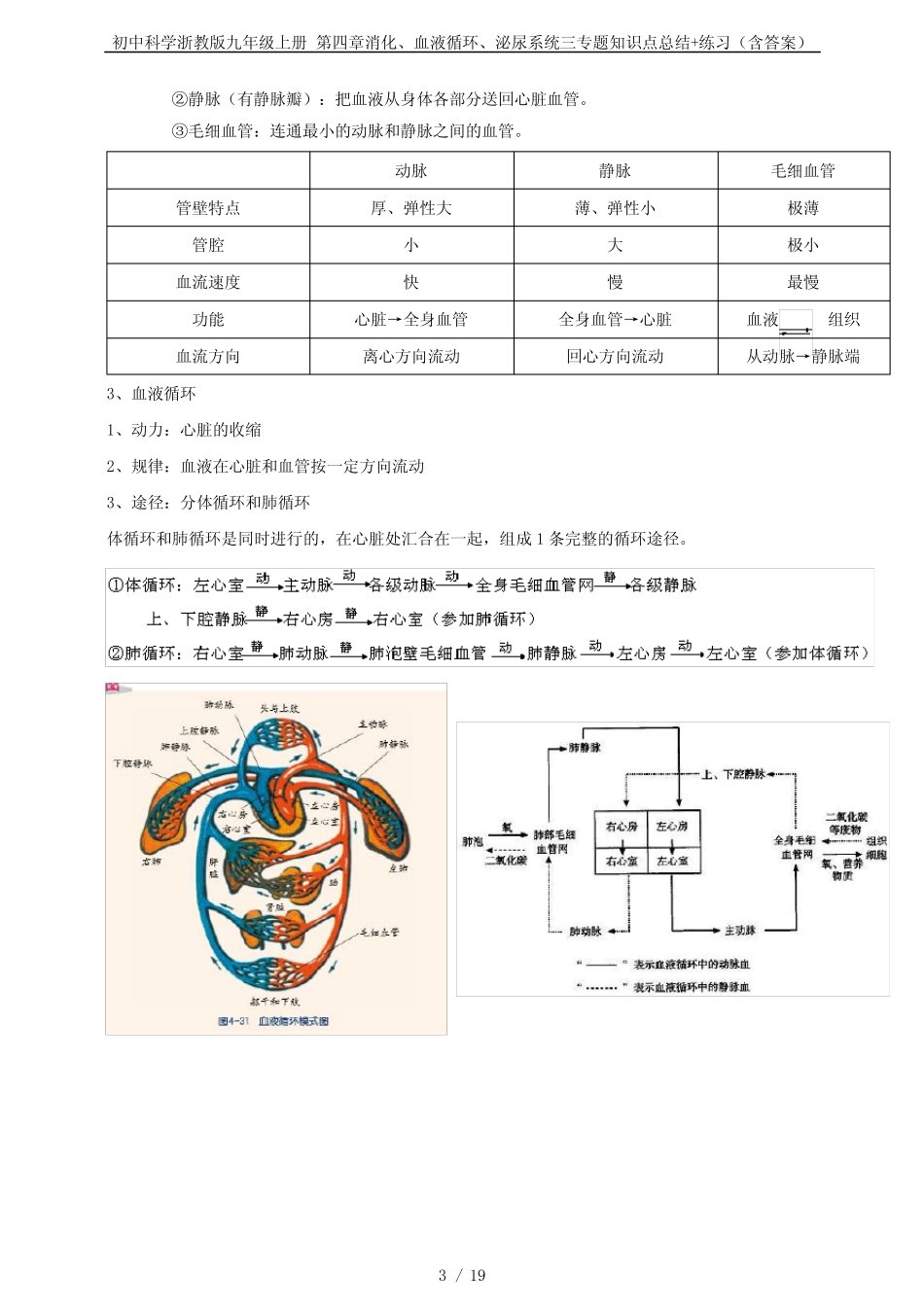 初中科学浙教版九年级上册 第四章消化、血液循环、泌尿系统三专题知识_第3页