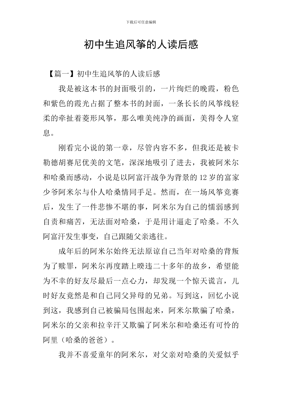 初中生追风筝的人读后感_第1页