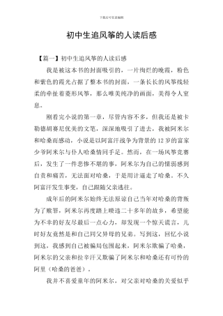 初中生追风筝的人读后感