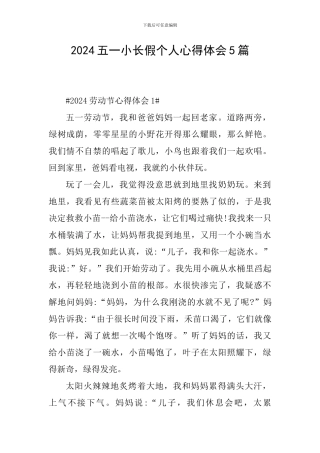 2024五一小长假个人心得体会5篇
