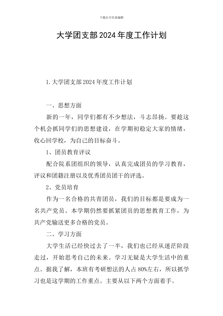 大学团支部2024年度工作计划_第1页