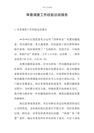 审查调查工作经验总结报告