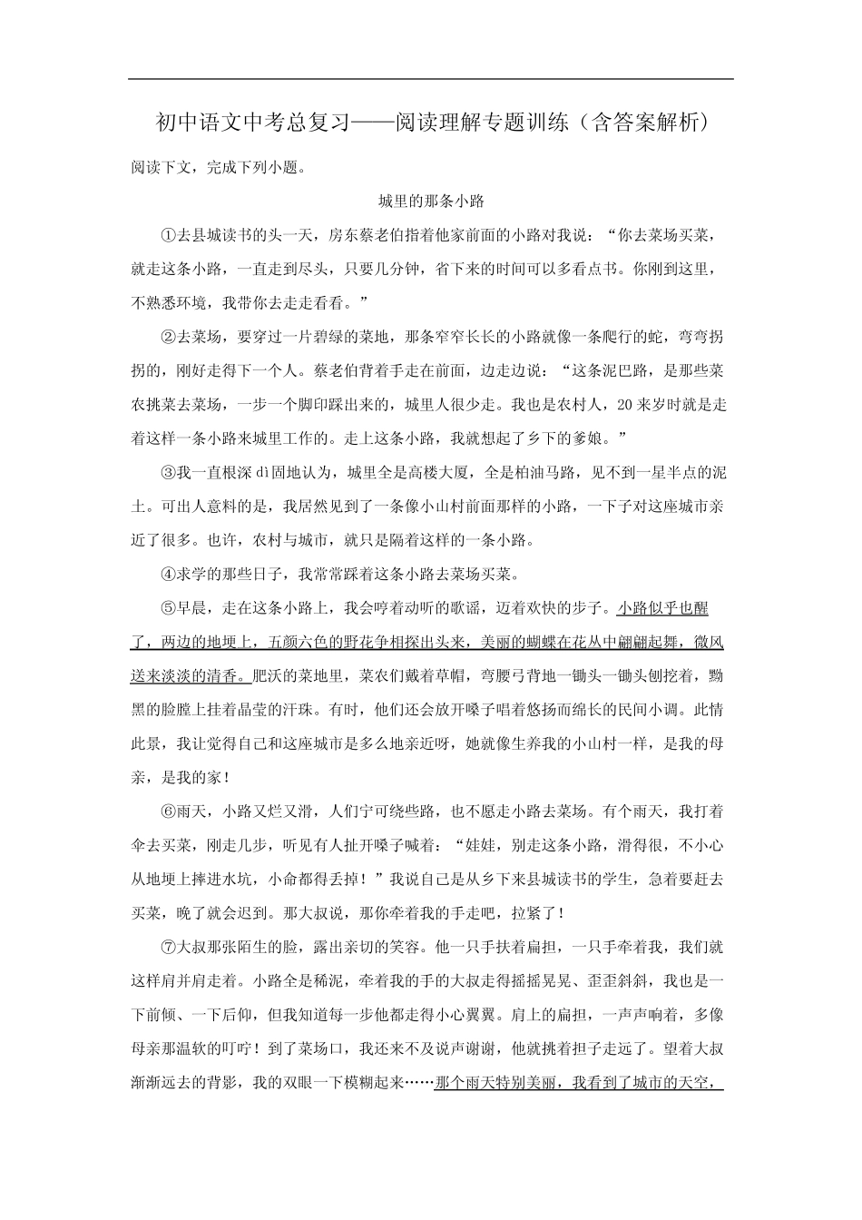 初中语文中考总复习阅读理解专题训练(城里的那条小路) _第1页