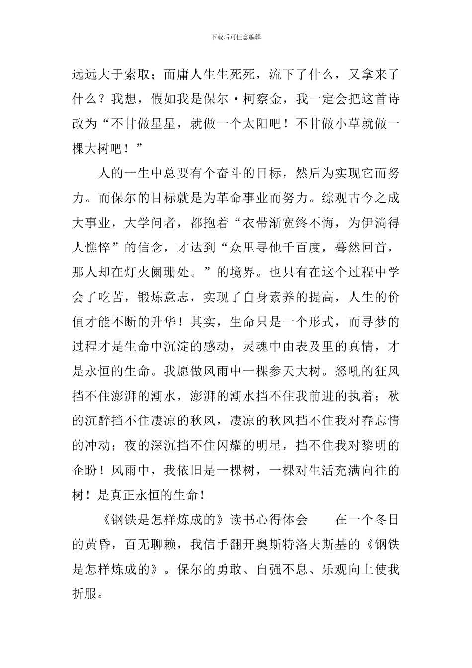 《钢铁是怎样炼成的》读书心得体会_第2页