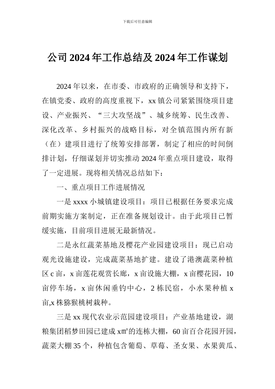 公司2024年工作总结及2024年工作谋划_第1页