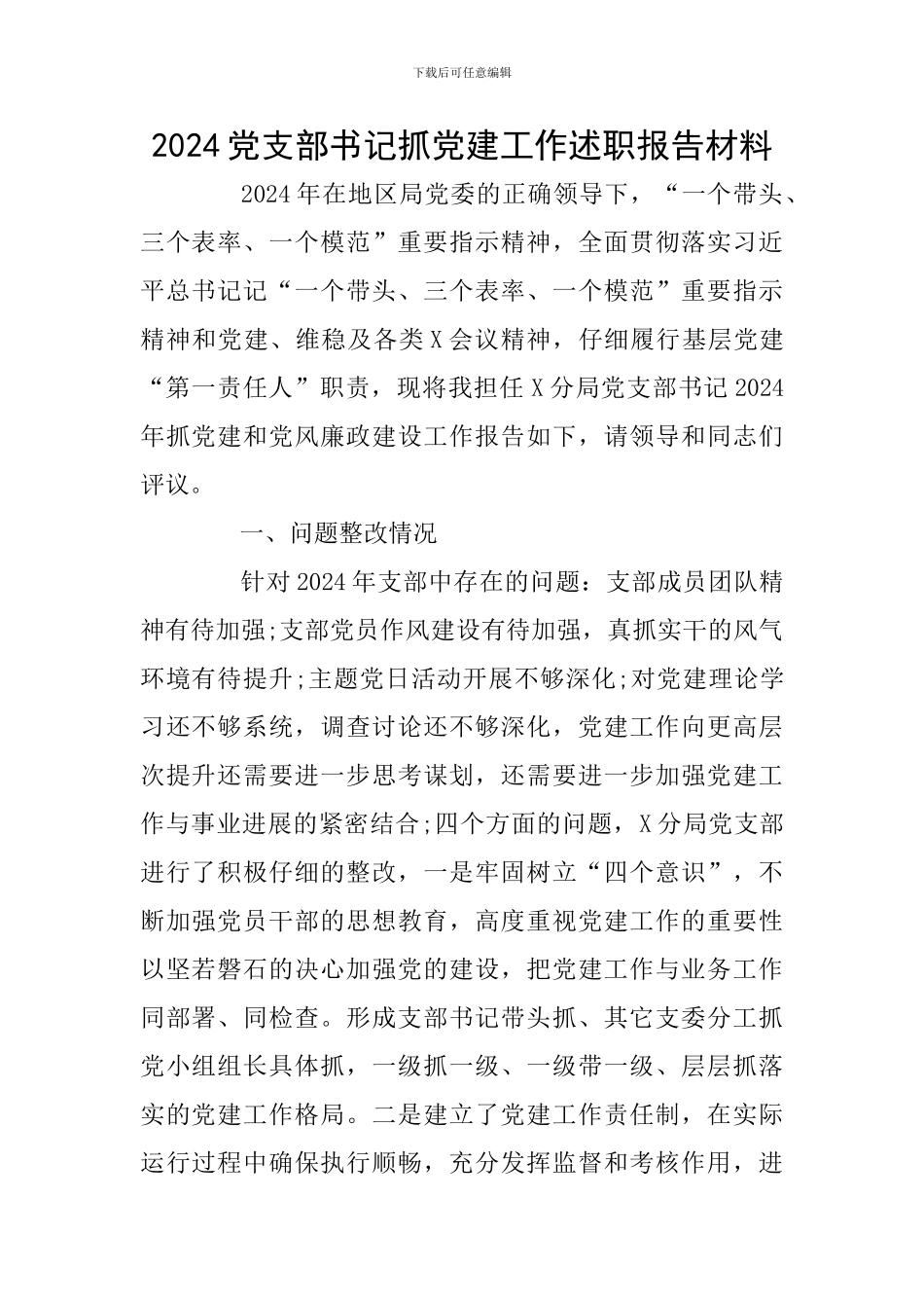 2024党支部书记抓党建工作述职报告材料_第1页