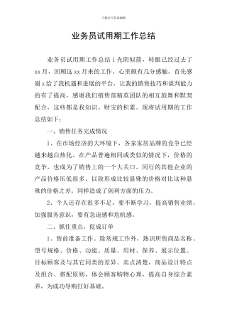 业务员试用期工作总结